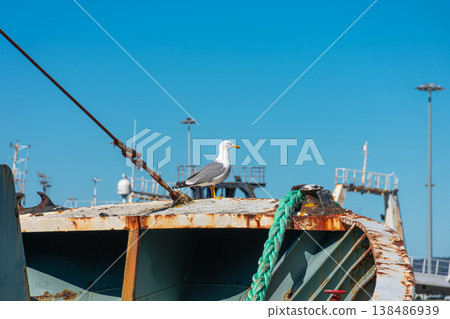 Detail of the corroded metal bow of a ship in Vigo with a white gull under the blue summer sky. Detail of the corroded metal bow of a ship in Vigo with a white gull under the blue summer sky. 138486939