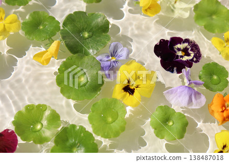 Colorful pansies and asiatic  pennyworts floating on shimmering waves. 138487018