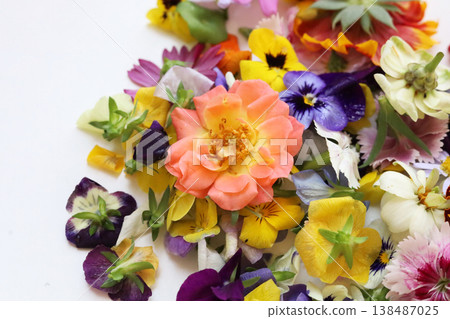 Colorful edible flowers for decorating beautiful food plates. 138487025