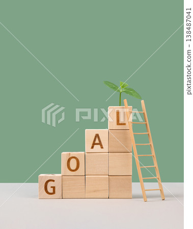 Wooden cubes with the words goal, young green seedling and wooden ladder are a symbol of success, business progress, strategic development of a company, startup. Business concept Wooden cubes with the words goal, young green seedling and wooden ladder are a symbol of success, business progress, strategic development of a company, startup. Business concept 138487041