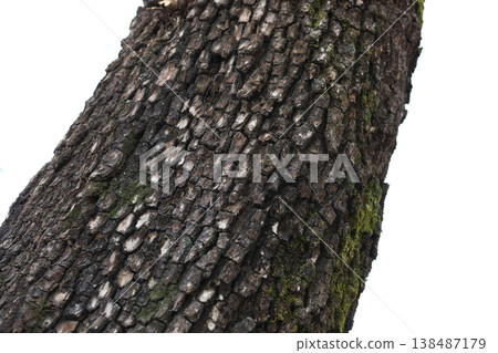 Rough tree bark texture pattern close up Rough tree bark texture pattern close up 138487179