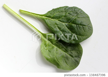 Spinach leaves isolated on white background 138487396