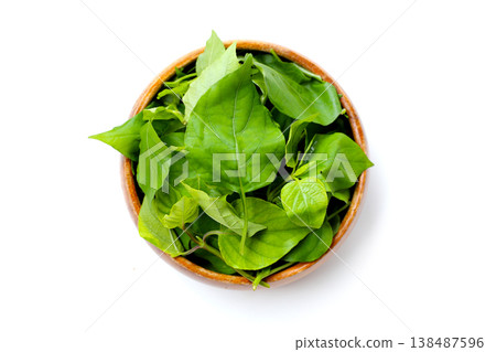 Fresh Sweet Ivy leaves for cooking, Asystasia gangetica (L.) T. Anders. Fresh Sweet Ivy leaves for cooking, Asystasia gangetica (L.) T. Anders. 138487596