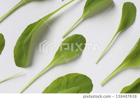 Fresh green Arugula on white background. Fresh green Arugula on white background. 138487638