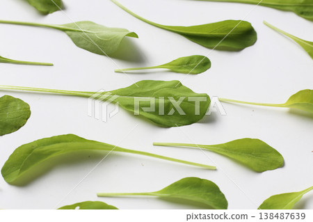 Fresh green Arugula on white background. Fresh green Arugula on white background. 138487639