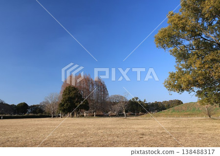 埼玉縣行田市佐木玉古墳的冬季景色。 138488317