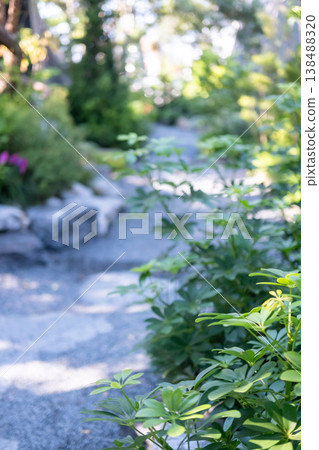 Stone path in the backyard garden with trees along the sides 138488320