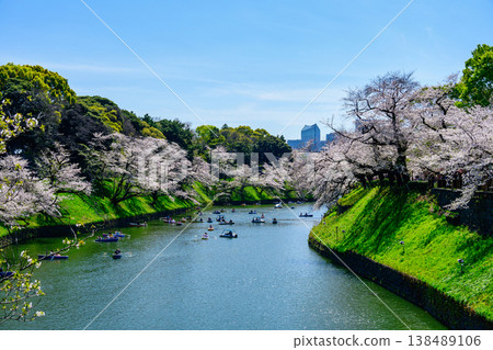 東京千鳥淵划船區：櫻花盛開，2026年 138489106