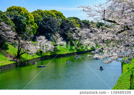 櫻花在千代gabuchi,東京盛開 櫻花在千代gabuchi,東京盛開 138489109