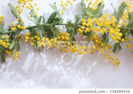 一張以含羞草花束為背景的照片 138489438