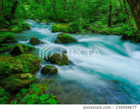 Summer in the Oirase Gorge: The Ashura Stream - Depicting the refreshing forms of water with a slow shutter speed. Towada City, Aomori Prefecture. 138489677