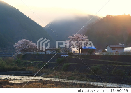 Kyoto, Nantan City, Sonobe, Tonoda, Hiyoshi, cherry blossoms, full bloom, flowers, mountain, morning Kyoto, Nantan City, Sonobe, Tonoda, Hiyoshi, cherry blossoms, full bloom, flowers, mountain, morning 138490499