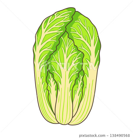 蔬菜——大白菜 138490568