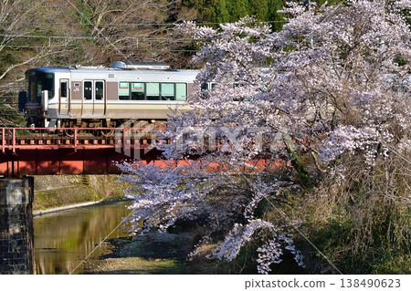 鐵路、火車、山陰本線、京都口、園部、戶野田、日吉、鐵路橋、櫻花、櫻花盛開、當地列車 138490623