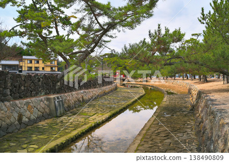 A waterway lined with pine trees A waterway lined with pine trees 138490809