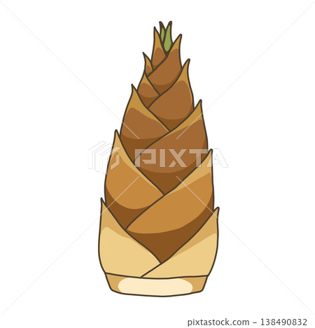 Vegetables - Bamboo shoots Vegetables - Bamboo shoots 138490832