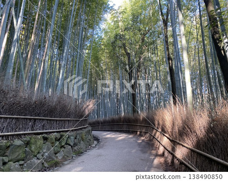 A deserted bamboo grove path A deserted bamboo grove path 138490850
