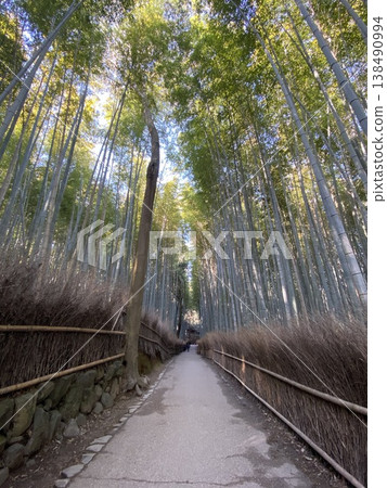 嵐山竹林中一條荒涼的小路 嵐山竹林中一條荒涼的小路 138490994