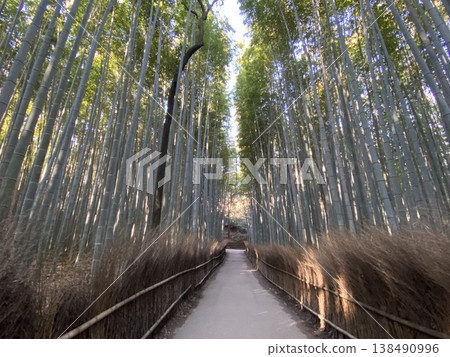 嵐山竹林中一條荒涼的小路 嵐山竹林中一條荒涼的小路 138490996