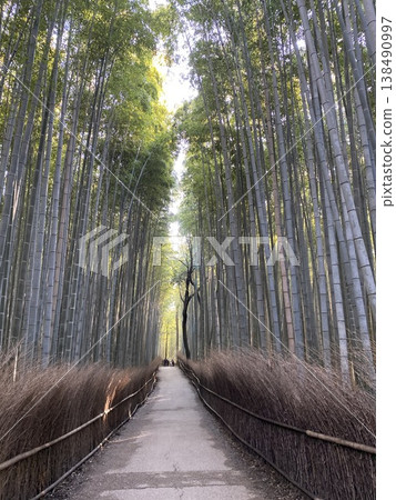 嵐山竹林中一條荒涼的小路 嵐山竹林中一條荒涼的小路 138490997