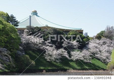 Cherry blossoms in full bloom and the Nippon Budokan, viewed from Ushigafuchi (horizontal orientation) Cherry blossoms in full bloom and the Nippon Budokan, viewed from Ushigafuchi (horizontal orientation) 138491048