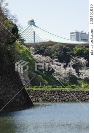 Edo Castle stone walls, Nippon Budokan, and cherry blossoms in full bloom Edo Castle stone walls, Nippon Budokan, and cherry blossoms in full bloom 138491050