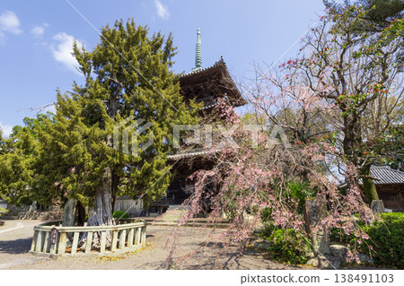 道成寺:三層塔與櫻花 道成寺:三層塔與櫻花 138491103