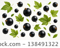 Fresh black currant berries with green leaves scattered in flying motion pattern isolated on white background for organic food packaging 138491322