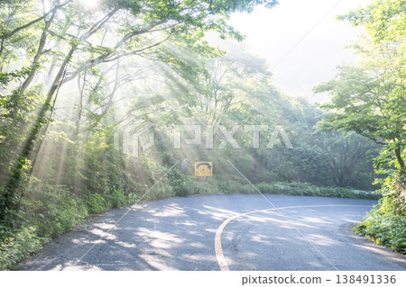 A scene of rays of sunlight shining through a forest path in the fresh greenery of Oku-Daisen. A scene of rays of sunlight shining through a forest path in the fresh greenery of Oku-Daisen. 138491336