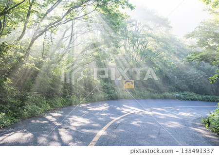 A scene of rays of sunlight shining through a forest path in the fresh greenery of Oku-Daisen. A scene of rays of sunlight shining through a forest path in the fresh greenery of Oku-Daisen. 138491337