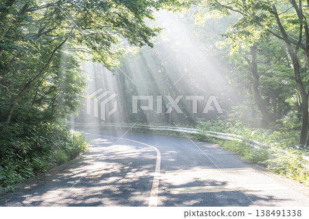 陽光透過奧大山清新的綠蔭,灑落在林間小路。 陽光透過奧大山清新的綠蔭,灑落在林間小路。 138491338