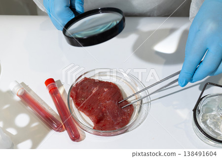 Scientist in lab coat examining cultured meat sample in petri dish with magnifying glass and tweezers. In vitro cultivation process for artificial meat production to address global hunger and promote Scientist in lab coat examining cultured meat sample in petri dish with magnifying glass and tweezers. In vitro cultivation process for artificial meat production to address global hunger and promote 138491604
