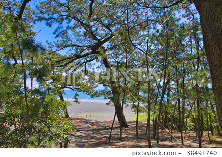 [Shizuoka Prefecture] The pine forest of Miho no Matsubara 138491740
