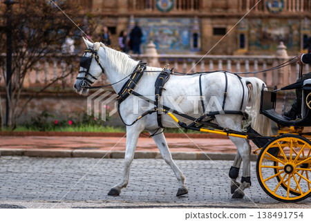 Tourist horse-drawn carriage in Plaza de Espana Spanish Square in Sevilla, Spain Tourist horse-drawn carriage in Plaza de Espana Spanish Square in Sevilla, Spain 138491754