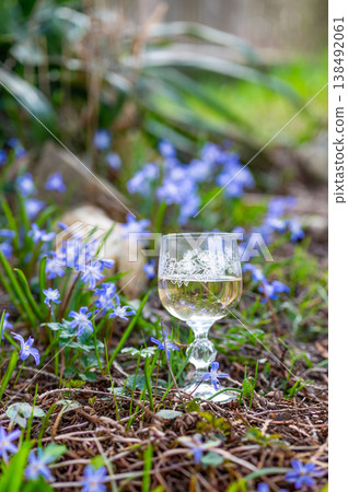 Glass of white wine placed among blooming spring flowers in garden, soft natural light and shallow depth of field creating calm atmosphere, outdoor lifestyle and relaxation concept Glass of white wine placed among blooming spring flowers in garden, soft natural light and shallow depth of field creating calm atmosphere, outdoor lifestyle and relaxation concept 138492061