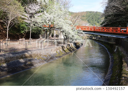 從京都市山科區眺望本國寺的入口。 從京都市山科區眺望本國寺的入口。 138492157