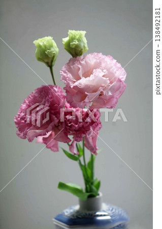 Eustoma flowers Eustoma flowers 138492181