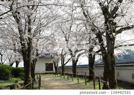 龍野城遺址(兵庫縣龍野市) 龍野城遺址(兵庫縣龍野市) 138492581