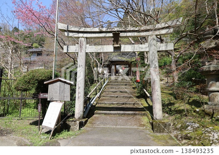 京都市山科區毗沙門堂分院山科書殿宗林院參道景觀 京都市山科區毗沙門堂分院山科書殿宗林院參道景觀 138493235