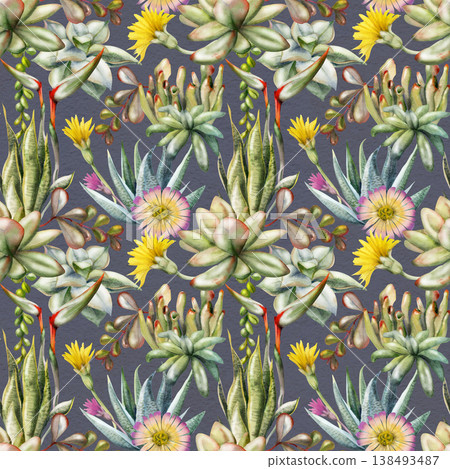 Aloe sansevieria echeveria succulent rosettes, strelitzia daisy flowers layered foliage in isolated illustration hand drawn in watercolor. Seamless pattern for notebooks, gift wrap, surface design. 138493487