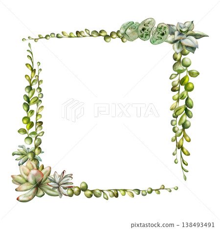 Sedum, echeveria rosette, trailing succulent curio string of beads vines. Isolated illustration hand drawn in watercolor. Corner frame for wedding invitations, eco packaging accents, plant care cards. 138493491
