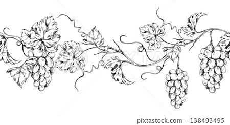 Elegant grapevine banner pattern with repeating tendrils, leaves on creepers and grape bunches. Seamless botanical ink vector illustration. Label borders, social media graphics, culinary branding. Elegant grapevine banner pattern with repeating tendrils, leaves on creepers and grape bunches. Seamless botanical ink vector illustration. Label borders, social media graphics, culinary branding. 138493495