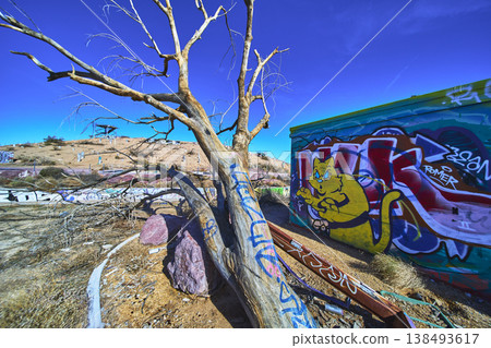 Abandoned California Water Park Graffiti Tree and Desert Landscape Abandoned California Water Park Graffiti Tree and Desert Landscape 138493617