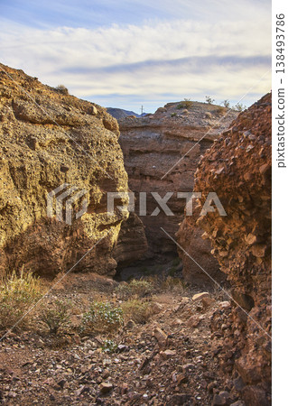 Sunlit Slot Canyon Walls and Desert Vegetation in Rugged Arid Landscape Sunlit Slot Canyon Walls and Desert Vegetation in Rugged Arid Landscape 138493786