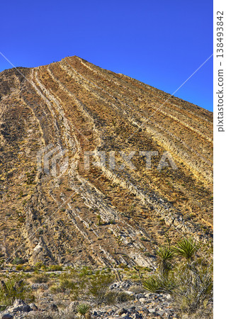 Desert Mountain Striations with Blue Sky and Yucca Plants in Nevada Landscape Desert Mountain Striations with Blue Sky and Yucca Plants in Nevada Landscape 138493842