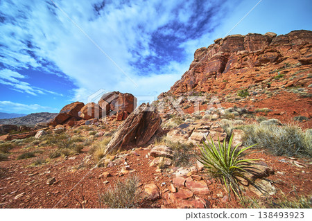 Red Rock Canyon Desert Landscape with Sandstone Cliffs and Yucca Plant Nevada Red Rock Canyon Desert Landscape with Sandstone Cliffs and Yucca Plant Nevada 138493923