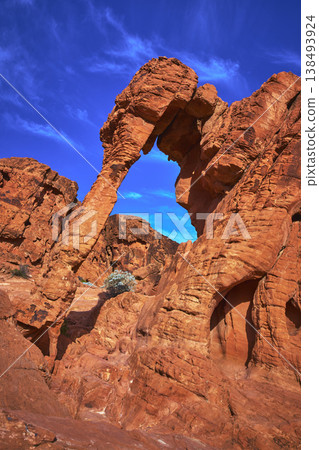 Elephant Rock Formation Red Sandstone Arch and Blue Sky in Valley of Fire Nevada Elephant Rock Formation Red Sandstone Arch and Blue Sky in Valley of Fire Nevada 138493924