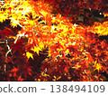 鮮紅的秋葉 138494109