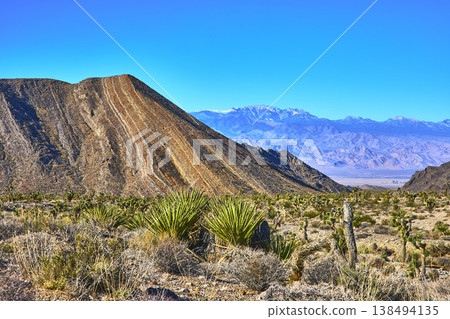 Layered Mountain Joshua Trees and Snow Capped Peaks in Desert National Wildlife Refuge 138494135