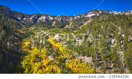 Aerial Mt Charleston Forest Autumn Colors and Rocky Mountain Landscape Aerial Mt Charleston Forest Autumn Colors and Rocky Mountain Landscape 138494206